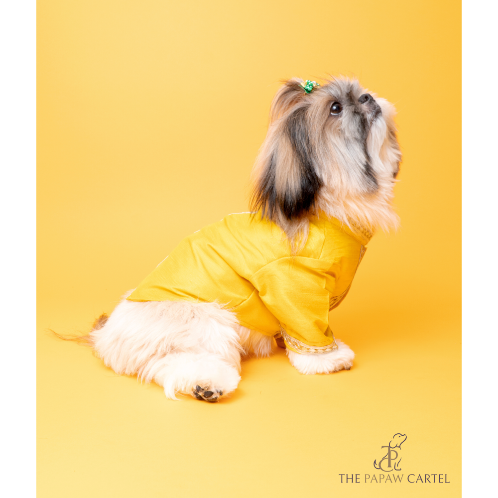 The Papaw Cartel Silk Gotapati Kurta For Dogs (Yellow) Dogs-Clothing & Accessories The Papaw Cartel Dropship