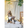 The Papaw Cartel Dapper Styled Button Down Tuxedo for Dogs (Black) Dogs-Clothing & Accessories The Papaw Cartel Dropship