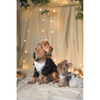 The Papaw Cartel Dapper Styled Button Down Tuxedo for Dogs (Black) Dogs-Clothing & Accessories The Papaw Cartel Dropship