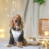 The Papaw Cartel Dapper Styled Button Down Tuxedo for Dogs (Black) Dogs-Clothing & Accessories The Papaw Cartel Dropship L
