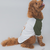 The Papaw Cartel Puppacino Dog Tshirt for Dogs (White/Olive/Green)