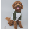 The Papaw Cartel Puppacino Dog Tshirt for Dogs (White/Olive/Green)