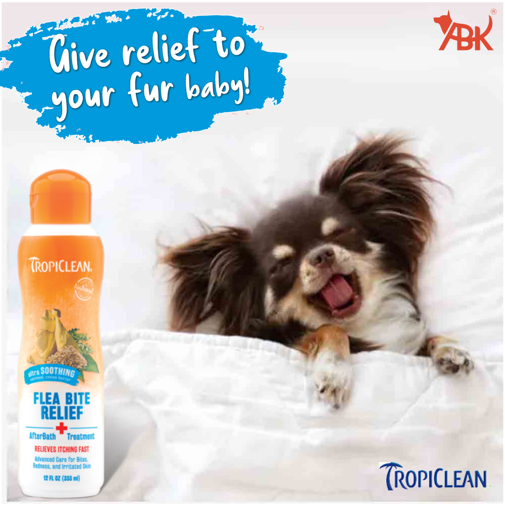 Tropiclean Afterbath Flea and Tick Bite Relief Treatment for Dogs