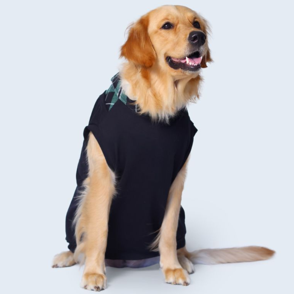 Pet Set Go Polo Knit T-shirt for Dogs (Black)
