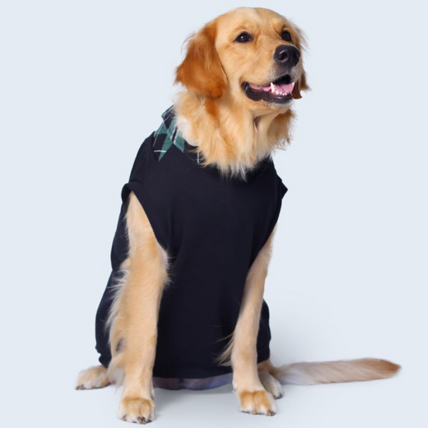 Pet Set Go Polo Knit Tshirt for Dogs (Black)