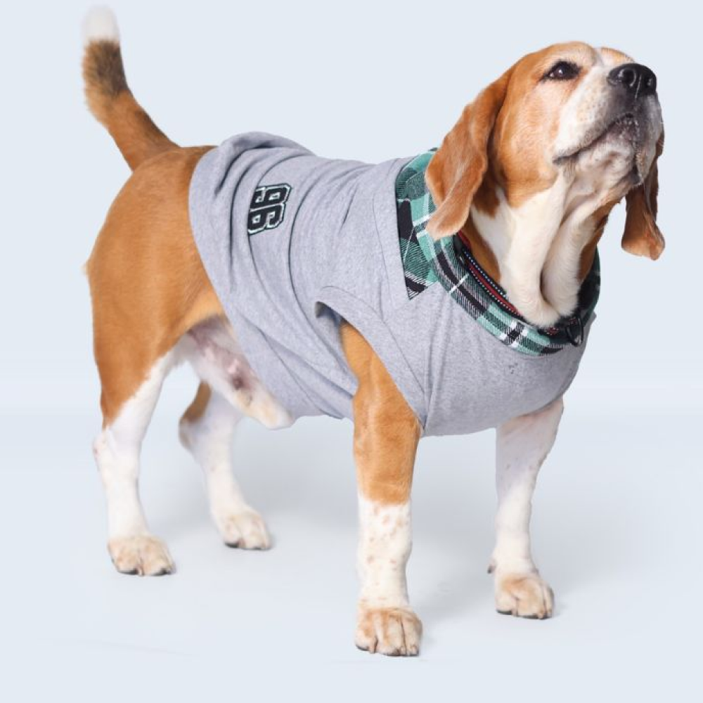 Pet Set Go Polo Knit Tshirt for Dogs (Grey) Dogs-Clothing & Accessories Pet Set Go Dropship