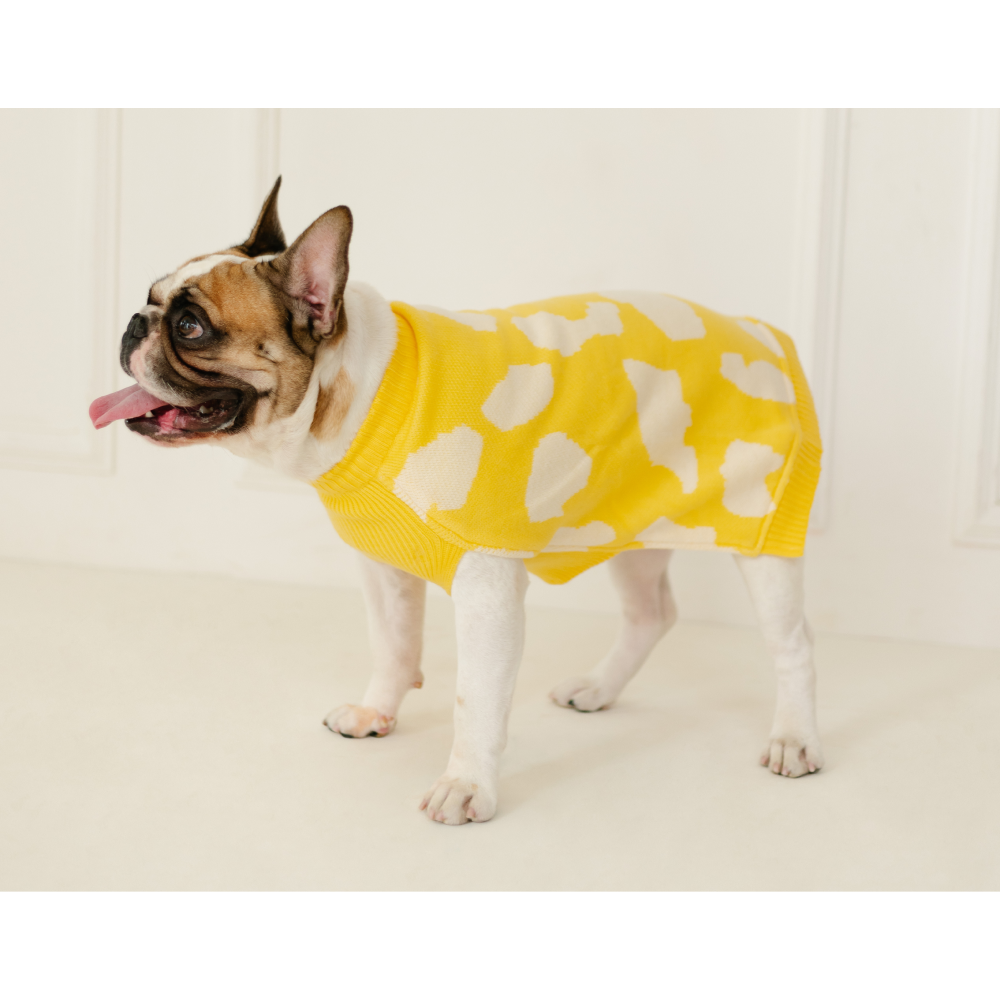Pet Set Go Joey’s Sweater for Dogs and Cats (Yellow)