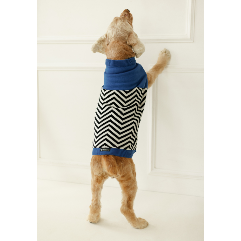 Pet Set Go Raisin’s Sweater for Dogs and Cats (Blue & Black)