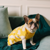 Pet Set Go Joey’s Sweater for Dogs and Cats (Yellow) Both-Clothing & Accessories Pet Set Go Dropship