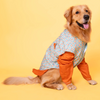 The Papaw Cartel Floral Aztec Koti With Kurta for Dogs (Mint Blue/Orange) Dogs-Clothing & Accessories The Papaw Cartel Dropship S