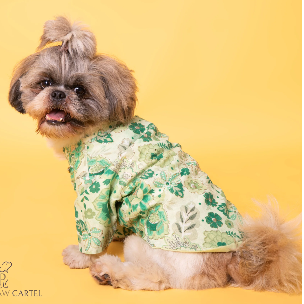 The Papaw Cartel Floral with Zari Sherwani for Dogs (Green)