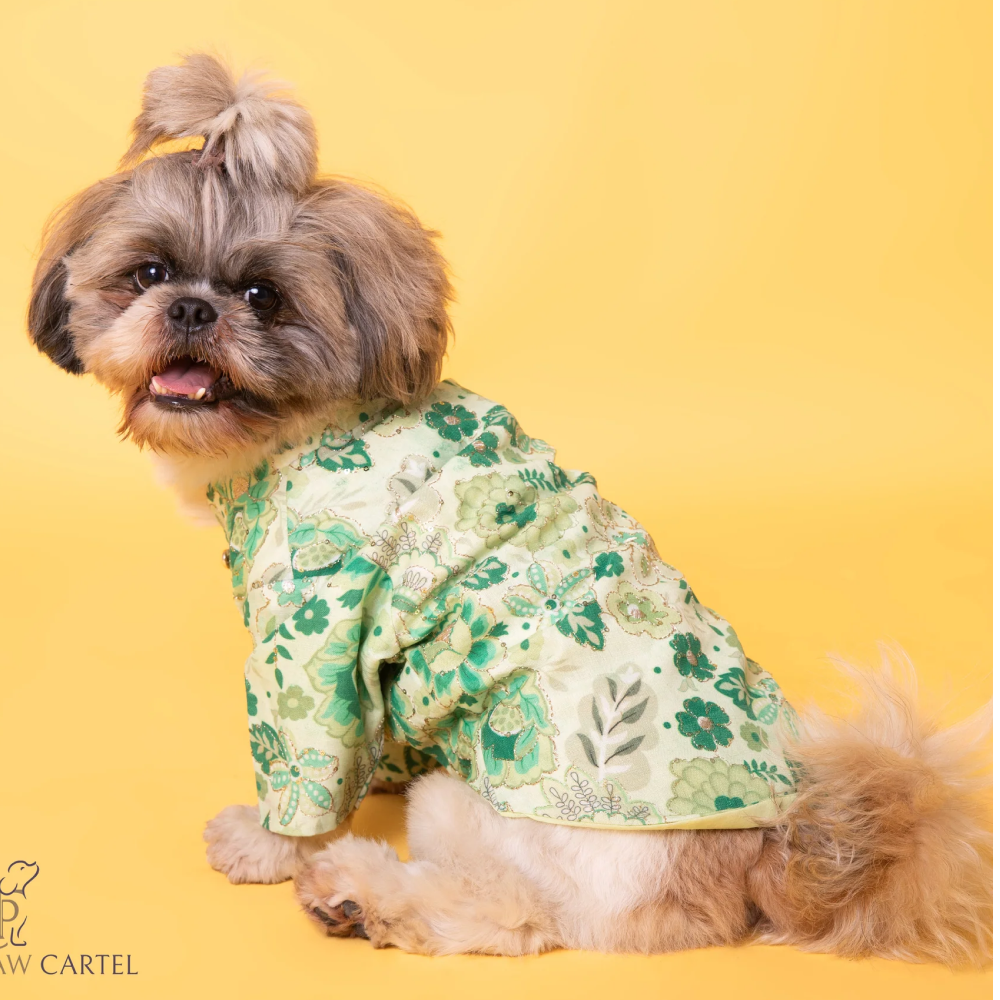 The Papaw Cartel Floral with Zari Sherwani for Dogs (Green) Dogs-Clothing & Accessories The Papaw Cartel Dropship M