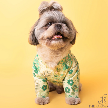 The Papaw Cartel Floral with Zari Sherwani for Dogs (Green)