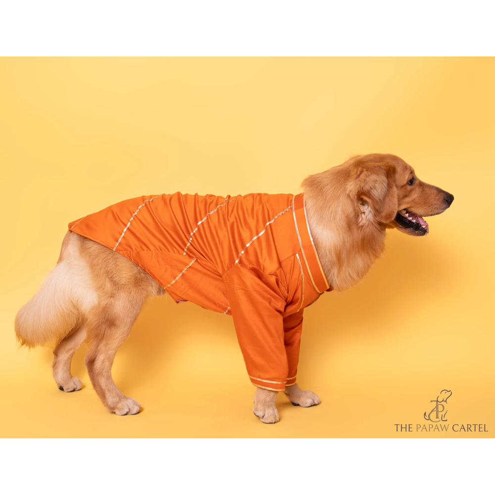 The Papaw Cartel Festive Gotapati Kurta for Dogs (Orange)