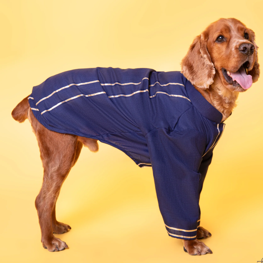 The Papaw Cartel Classic Gotapati Kurta for Dogs (Navy Blue )