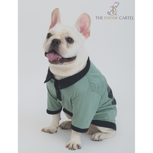 The Papaw Cartel One In A Million Polo Tshirt for Dogs (Sage Green)