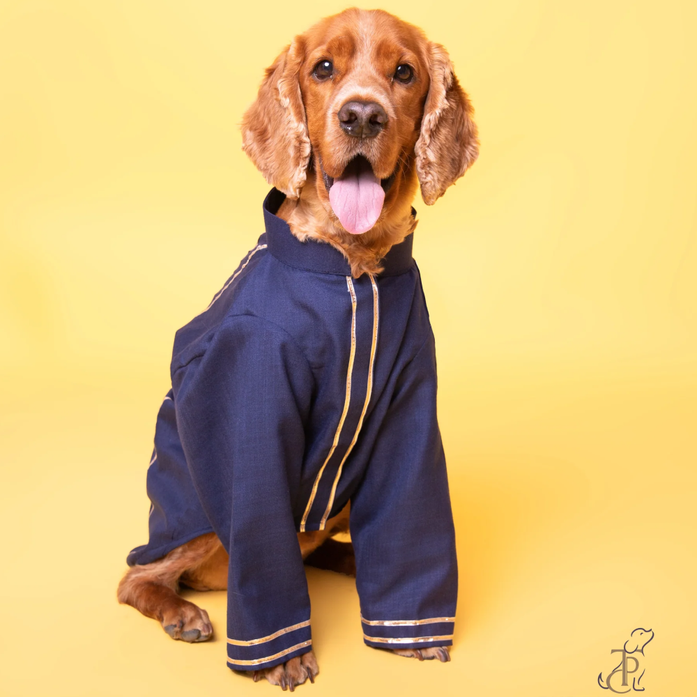 The Papaw Cartel Classic Gotapati Kurta for Dogs (Navy Blue )