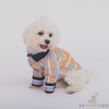 The Papaw Cartel Stripe Shirt for Dogs (Multicolor) Dogs-Clothing & Accessories The Papaw Cartel Dropship S