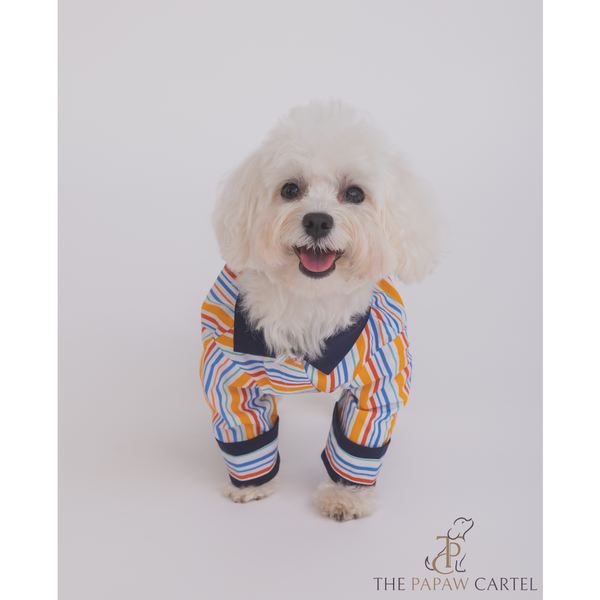 The Papaw Cartel Stripe Shirt for Dogs (Multicolor)