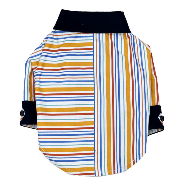The Papaw Cartel Stripe Shirt for Dogs (Multicolor)