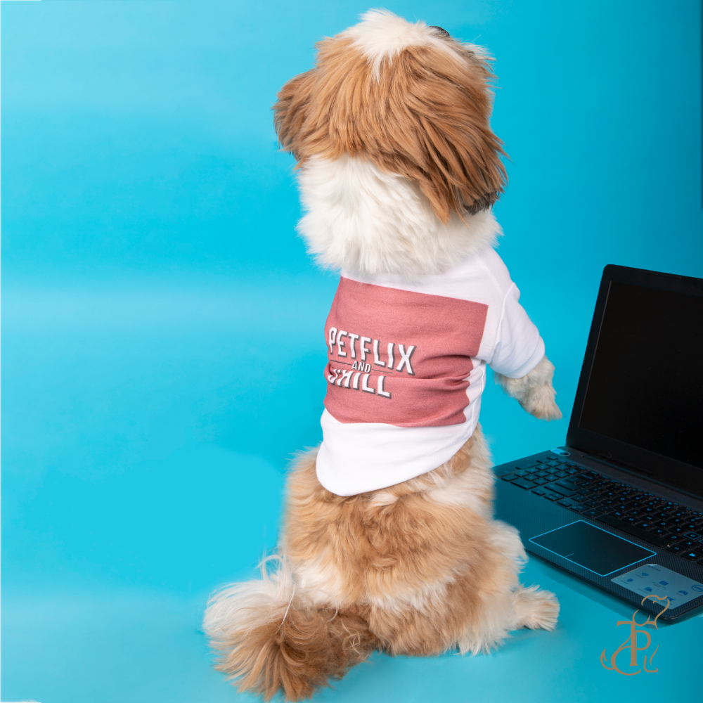 The Papaw Cartel Petflix and Chill Tshirt for Dogs (White) Dogs-Clothing & Accessories The Papaw Cartel Dropship M
