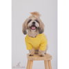 The Papaw Cartel I AM My Own Muse Turtle Neck Tshirt for Dogs (Yellow) Dogs-Clothing & Accessories The Papaw Cartel Dropship