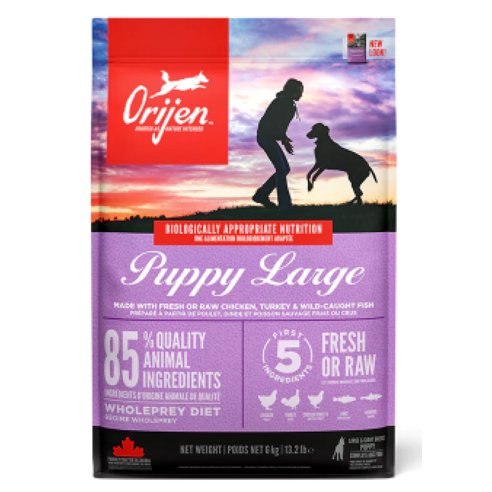 Orijen Large Puppy Dry Food