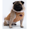 Pawgypets Sherwani for Dogs and Cats (Golden) Both-Clothing & Accessories Pawgypets Dropship