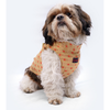 Pawgypets Sherwani for Dogs and Cats (Golden) Both-Clothing & Accessories Pawgypets Dropship
