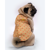 Pawgypets Sherwani for Dogs and Cats (Golden) Both-Clothing & Accessories Pawgypets Dropship
