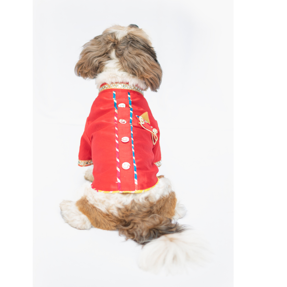 Pawgypets Raw Silk Sherwani for Dogs and Cats (Red) Both-Clothing & Accessories Pawgypets Dropship