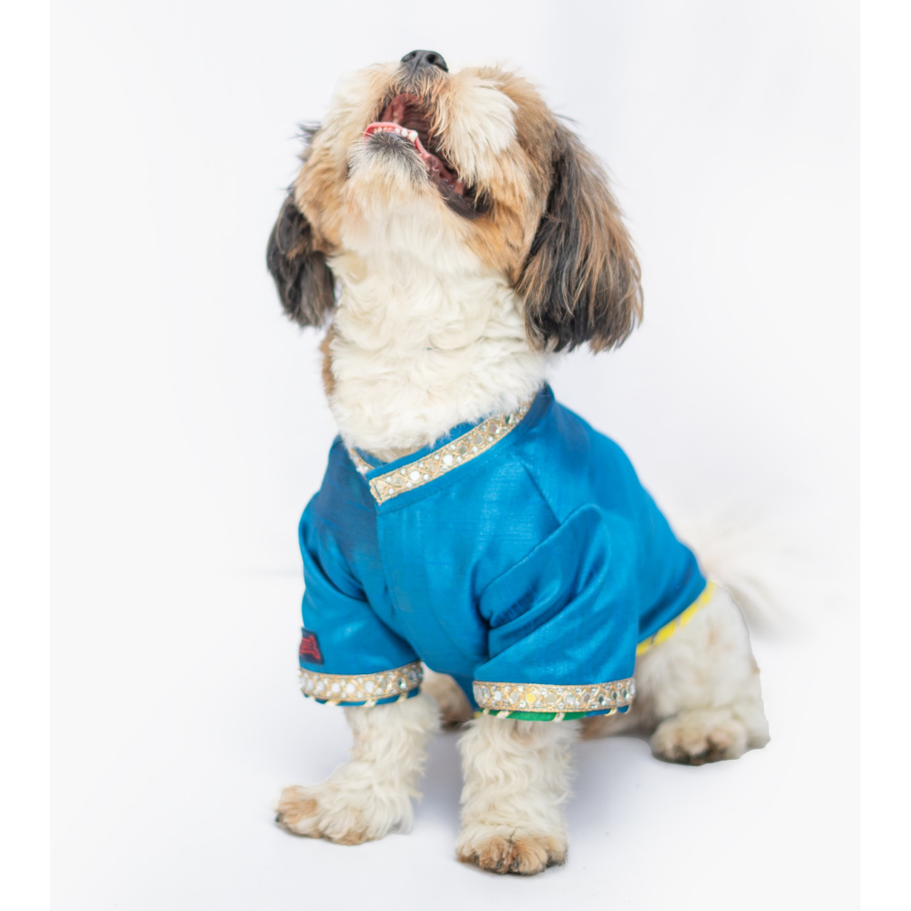 Pawgypets Raw Silk Sherwani for Dogs and Cats (Blue) Both-Clothing & Accessories Pawgypets Dropship