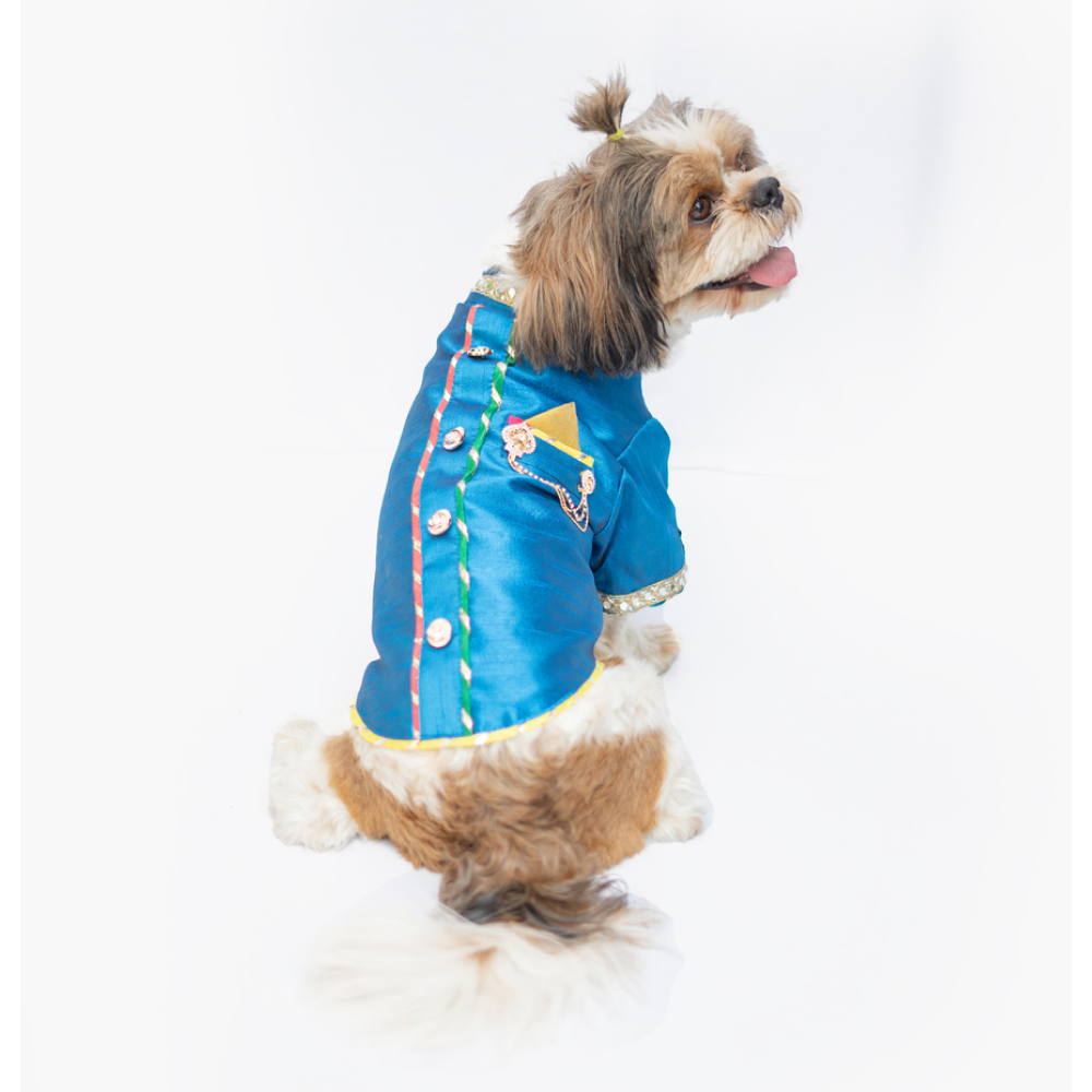 Pawgypets Raw Silk Sherwani for Dogs and Cats (Blue) Both-Clothing & Accessories Pawgypets Dropship