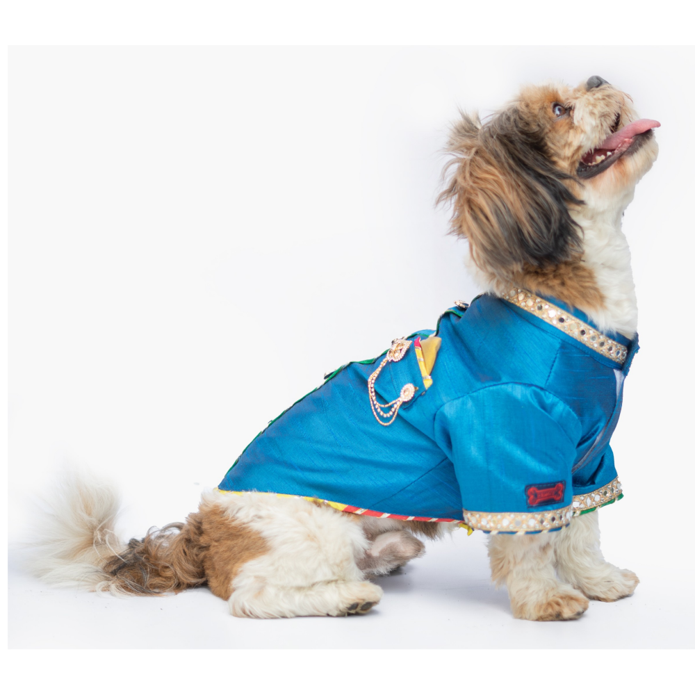 Pawgypets Raw Silk Sherwani for Dogs and Cats (Blue) Both-Clothing & Accessories Pawgypets Dropship
