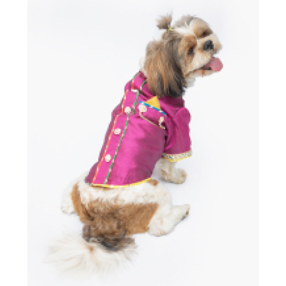 Pawgypets Raw Silk Sherwani for Dogs and Cats (Rani) Both-Clothing & Accessories Pawgypets Dropship