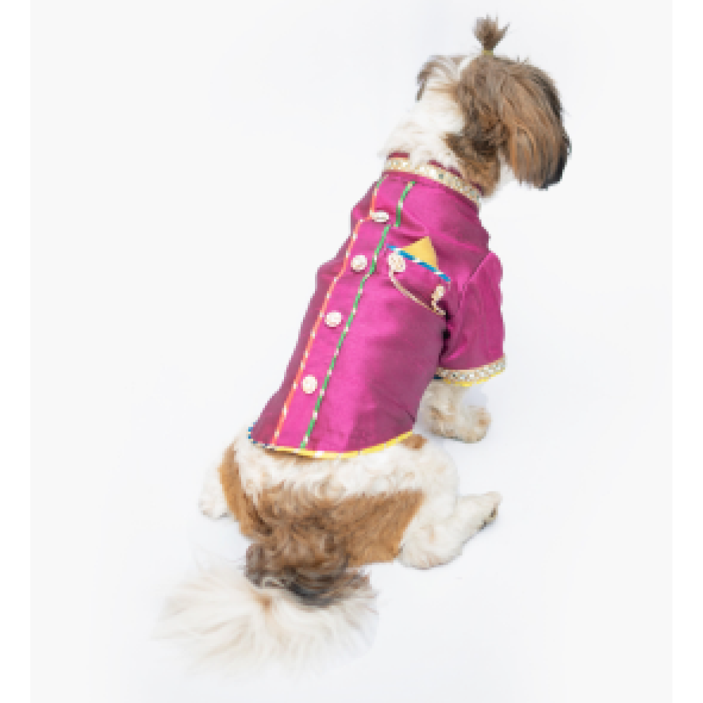 Pawgypets Raw Silk Sherwani for Dogs and Cats (Rani) Both-Clothing & Accessories Pawgypets Dropship