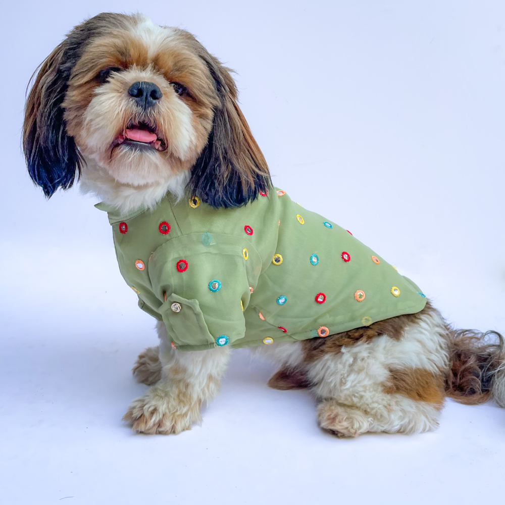 Pawgypets Festive Shirt for Dogs and Cats (Pista Green) Both-Clothing & Accessories Pawgypets Dropship S
