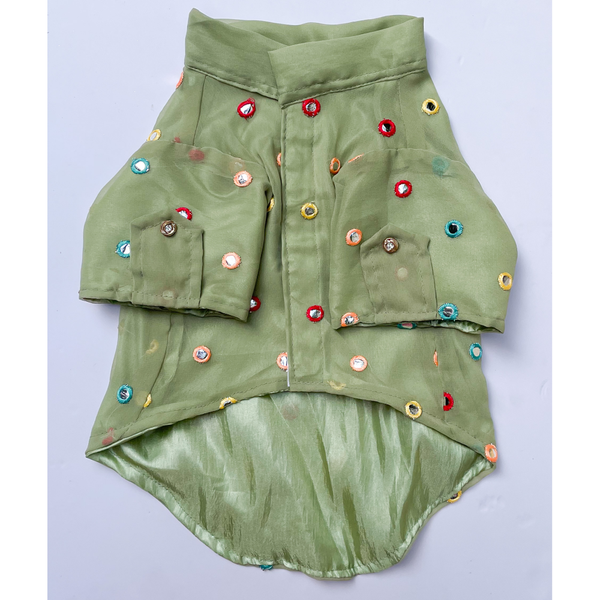 Pawgypets Festive Shirt for Dogs and Cats (Pista Green)