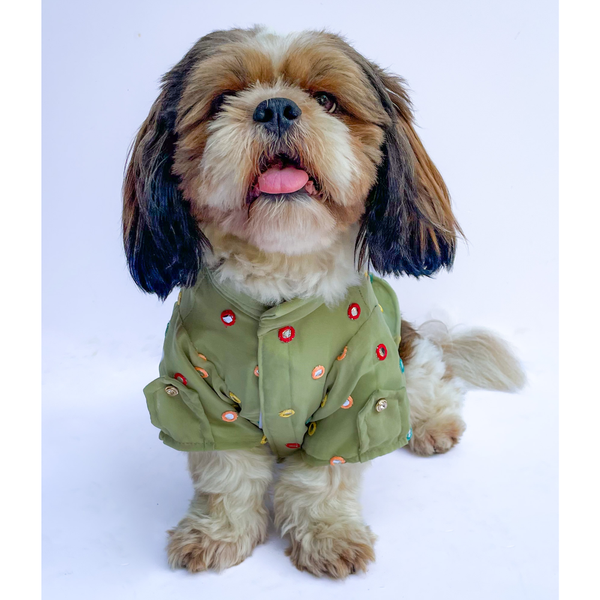 Pawgypets Festive Shirt for Dogs and Cats (Pista Green)
