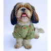 Pawgypets Festive Shirt for Dogs and Cats (Pista Green) Both-Clothing & Accessories Pawgypets Dropship