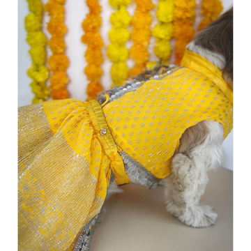 Pawgypets Pleaty Lehenga for Dogs and Cats (Yellow)