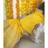 Pawgypets Pleaty Lehenga for Dogs and Cats (Yellow) Both-Clothing & Accessories Pawgypets Dropship