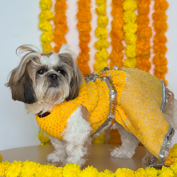 Pawgypets Pleaty Lehenga for Dogs and Cats (Yellow)