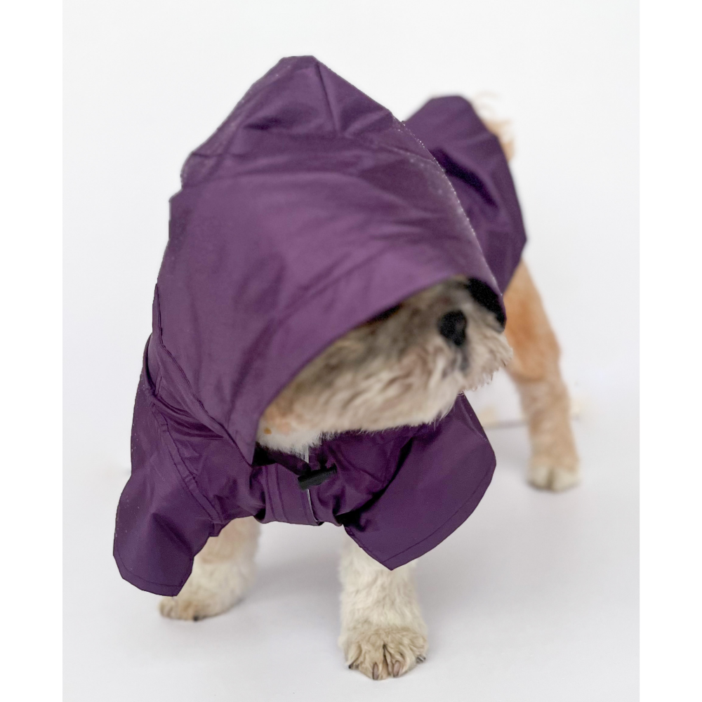 Pawgypets Raincoat for Dogs and Cats (Purple)