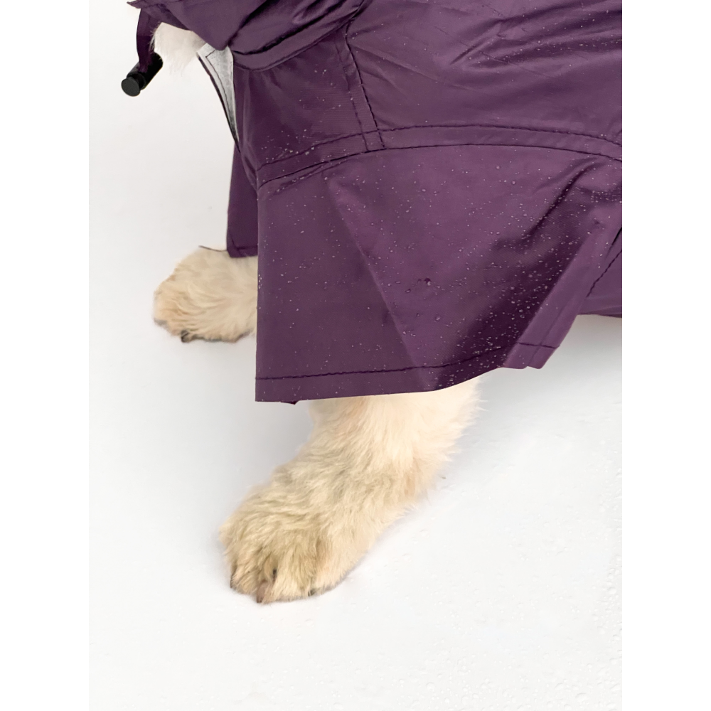 Pawgypets Raincoat for Dogs and Cats (Purple)