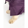Pawgypets Raincoat for Dogs and Cats (Purple) Both-Clothing & Accessories Pawgypets Dropship