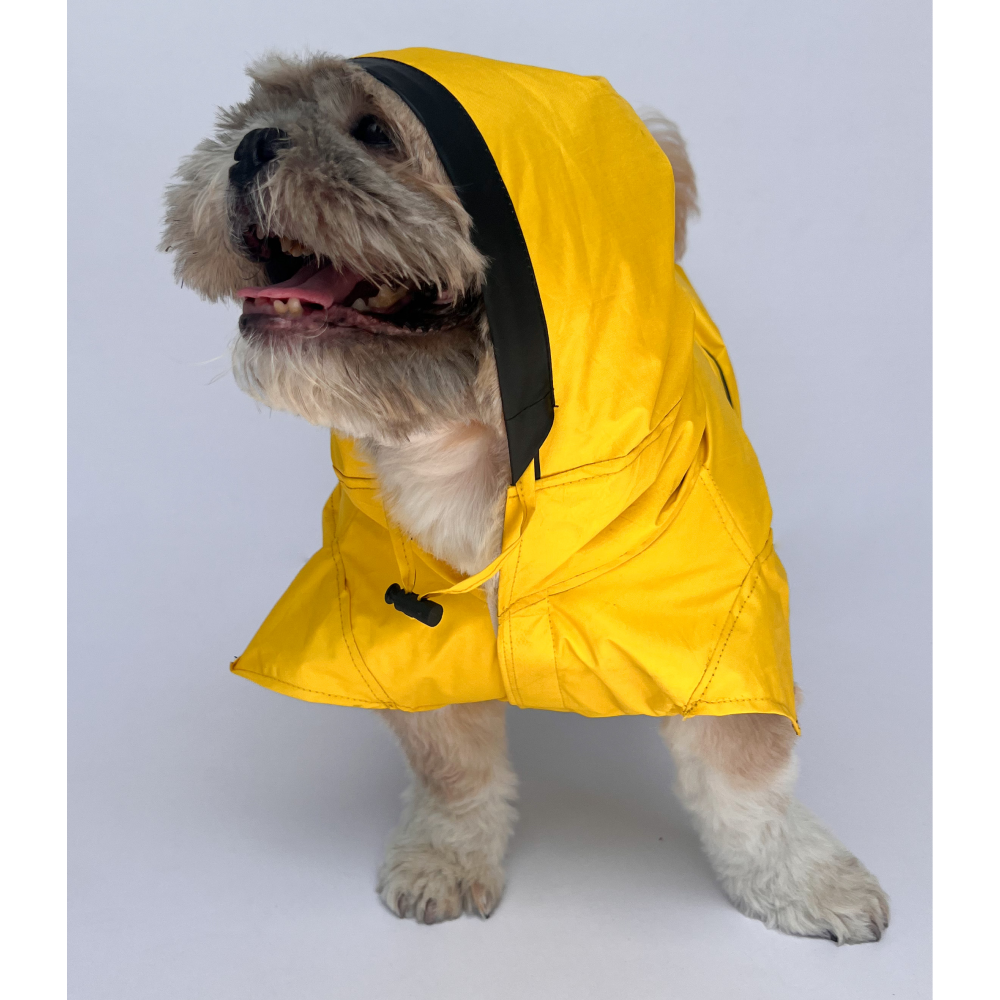 Pawgypets Raincoat for Dogs and Cats (Yellow Taxi)