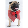 Pawgypets Waistcoat Bandana for Dogs and Cats (Red) Both-Clothing & Accessories Pawgypets Dropship S