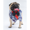 Pawgypets Waistcoat Bandana for Dogs and Cats (Blue) Both-Clothing & Accessories Pawgypets Dropship S