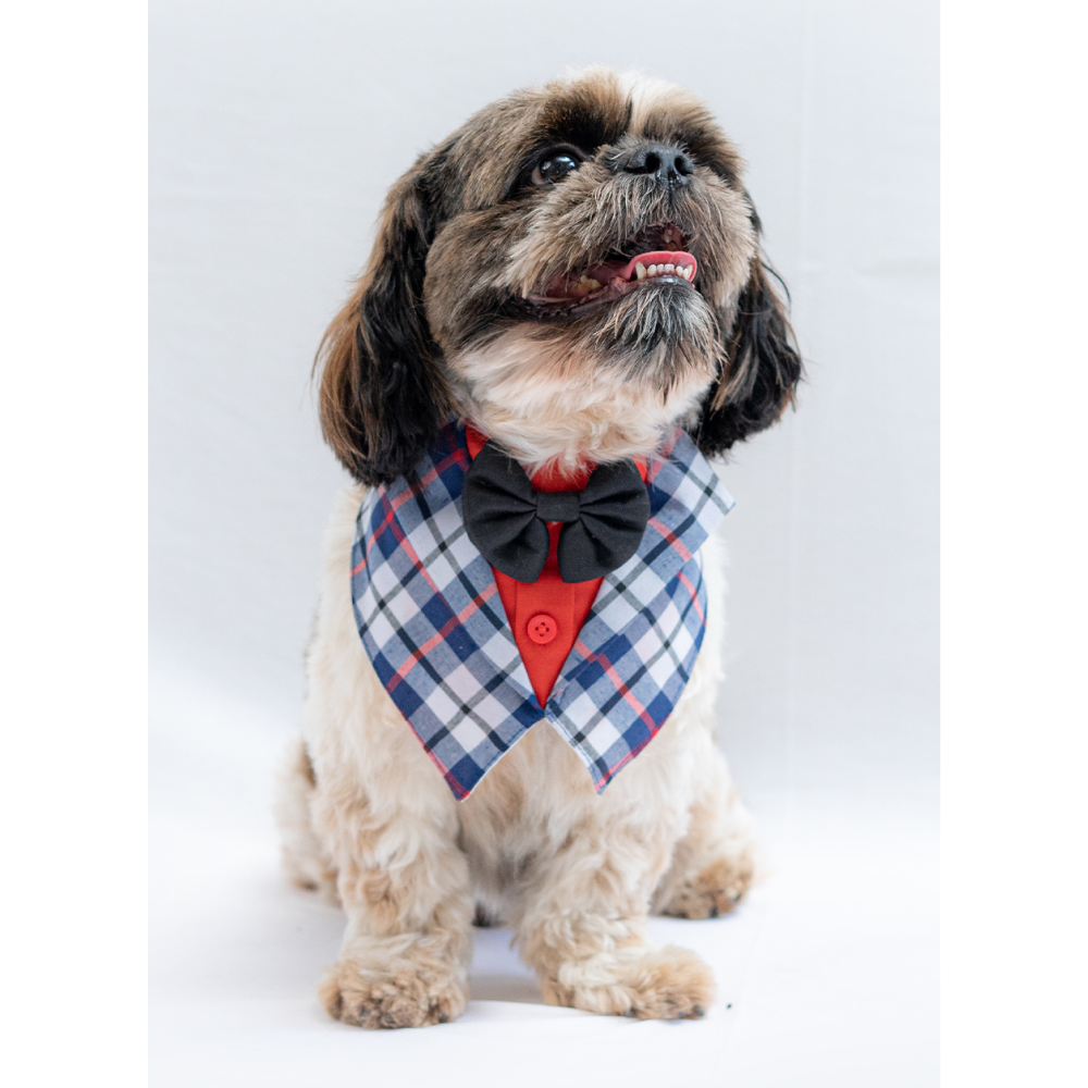 Pawgypets Waistcoat Bandana for Dogs and Cats (Blue)